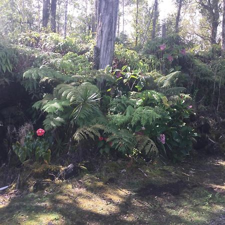 Simply Convenient Tropical Country Studio Mountain View Eksteriør bilde