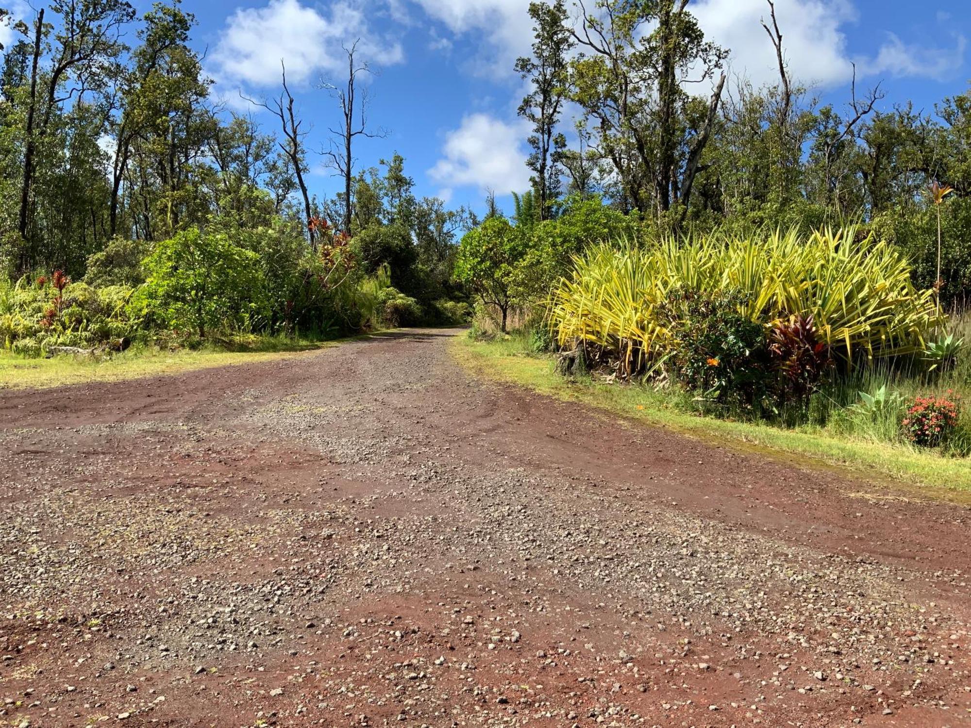 Simply Convenient Tropical Country Studio Mountain View Eksteriør bilde